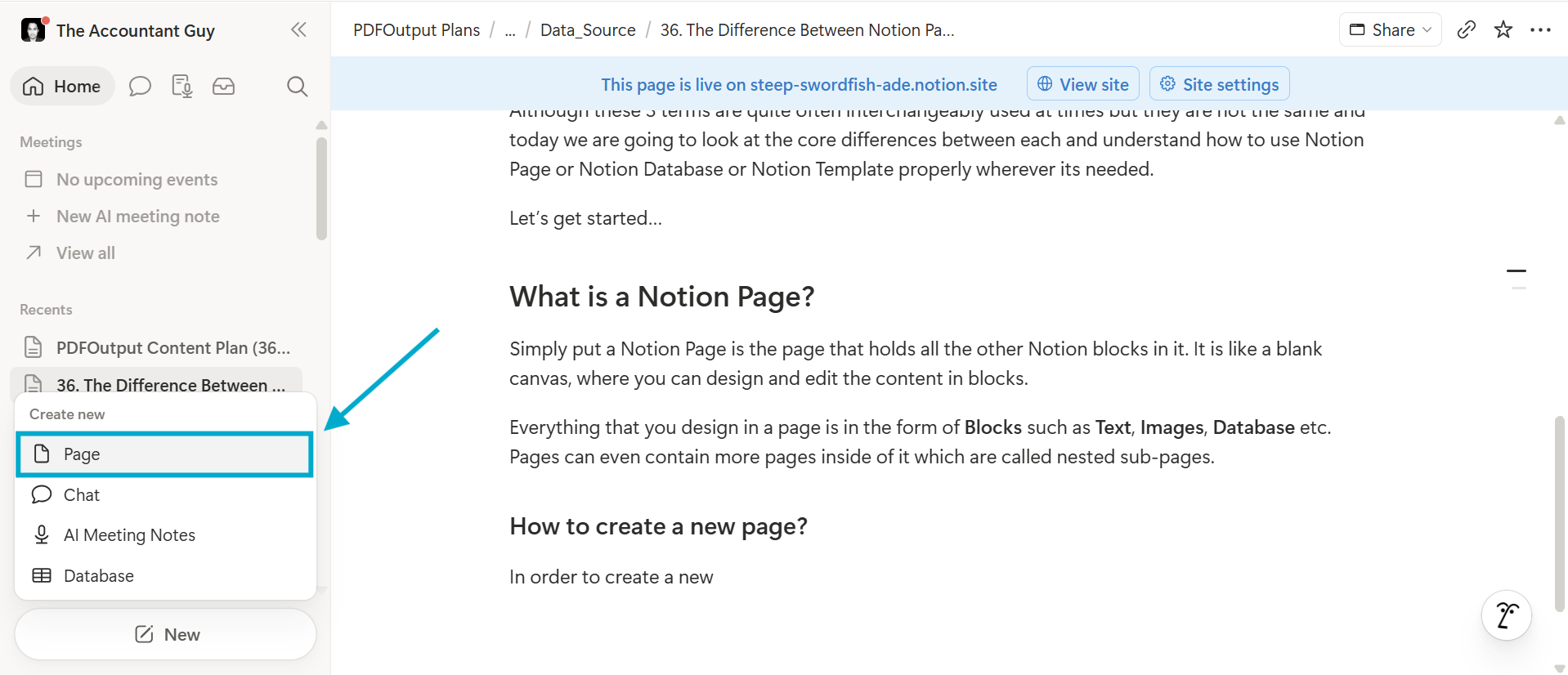 Notion sidebar showing how to create a new page by clicking the New button and then selecting Page from the dropdown menu